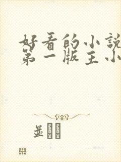 好看的小说大全第一版主小说网免费