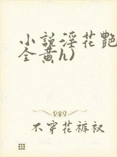 小说淫花艳史(全黄h)