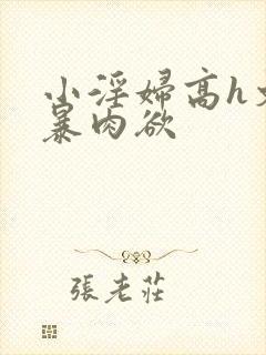 小淫妇高h文黄暴肉欲封面