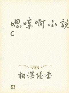 嗯哼啊小说17c封面