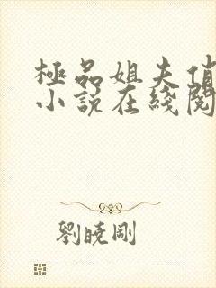 极品姐夫俏小姨小说在线阅读全文免费