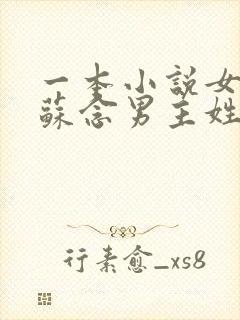 一本小说女主叫苏念男主姓陆