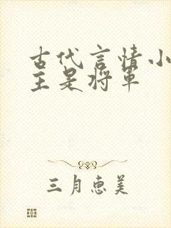 古代言情小说男主是将军