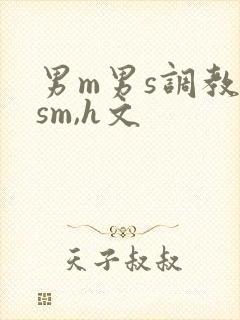 男m男s调教(sm,h文