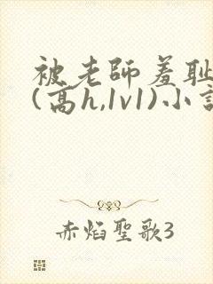 被老师羞耻调教(高h,1v1)小说