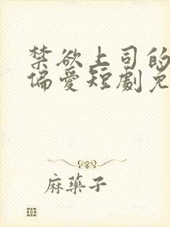 禁欲上司的专属偏爱短剧免费观看