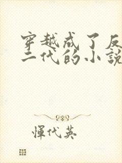 穿越成了反派富二代的小说叶枫