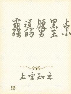 霸道腹黑占有欲强的男主小说封面