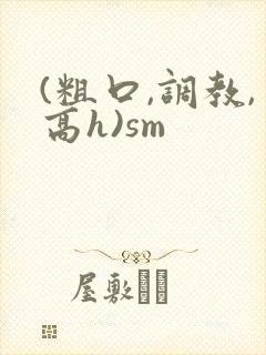 (粗口,调教,高h)sm