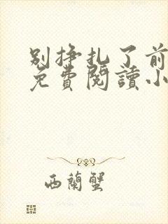 别挣扎了前妻姐免费阅读小说封面