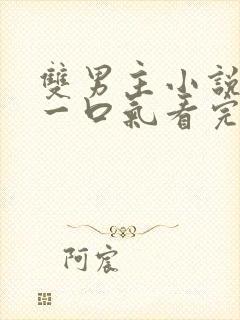 双男主小说完结一口气看完