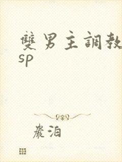 双男主调教训诫sp