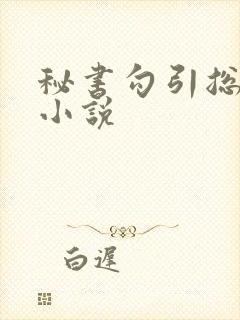 秘书勾引总裁的小说