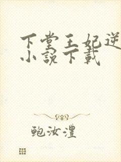 下堂王妃逆袭记小说下载