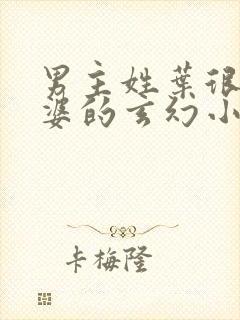 男主姓叶很多老婆的玄幻小说