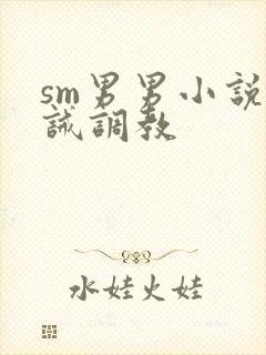 sm男男小说训诫调教封面