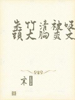 朱竹清被吸乳奶头大胸爽文