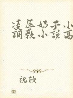 凌辱奶子小说上调教小说高h