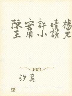 陈安许晴杨春霞主角小说免费阅读