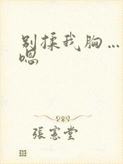 别揉我胸…啊…嗯