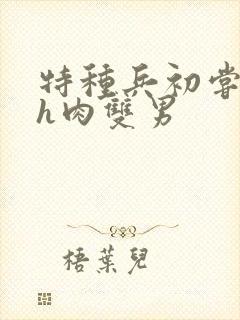 特种兵初尝嗯啊h肉双男