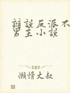 谁说反派不能做男主小说