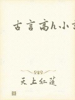 古言高h小说封面