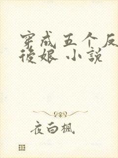 穿成五个反派的后娘 小说