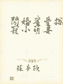 闪婚蜜爱总裁独宠小萌妻