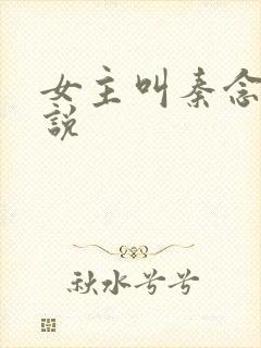 女主叫秦念的小说