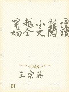 穿越小说傻王夺嫡全文阅读