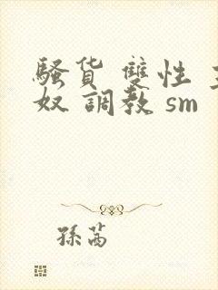 骚货 双性 主奴 调教 sm封面