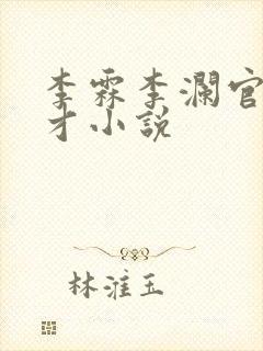 李霖李澜官场奇才小说封面