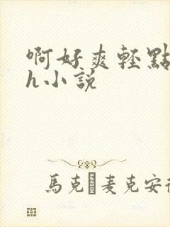 啊好爽轻点啊嗯h小说封面