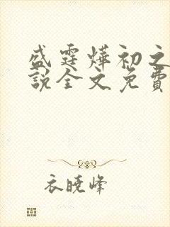 盛霆烨初之心小说全文免费阅读封面