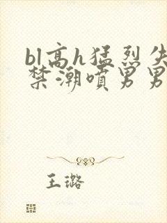bl高h猛烈失禁潮喷男男封面