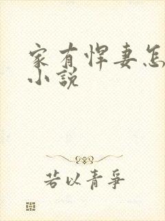 家有悍妻怎么破小说