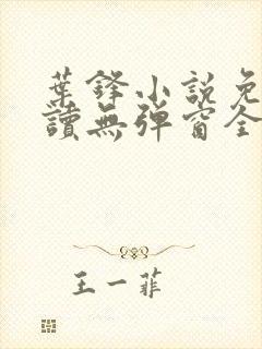 叶锋小说免费阅读无弹窗全文