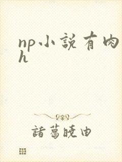 np小说有肉高h