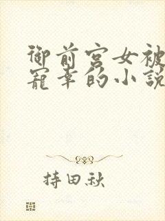 御前宫女被皇上宠幸的小说