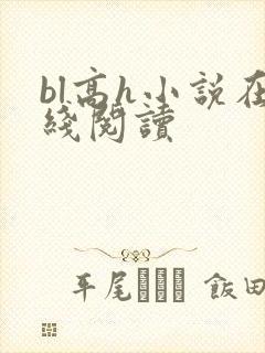 bl高h小说在线阅读