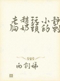 老赵玩小静揉捏胸奶头的刺激小说