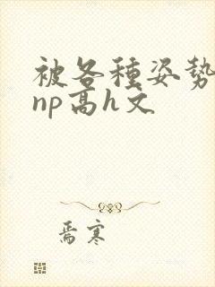 被各种姿势玩弄np高h文