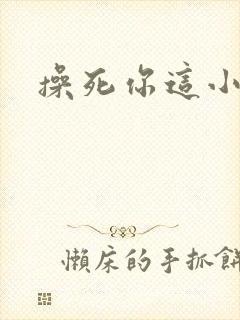 操死你这小骚货