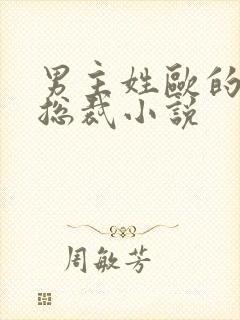 男主姓欧的霸道总裁小说