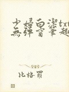 少妇白洁txt无弹窗笔趣阁封面