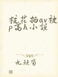 校花拍av被np高h小说