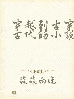 穿越到古穿越到古代的小说封面