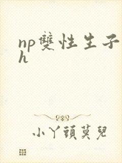 np双性生子高h