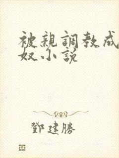 被亲调教成她的奴小说封面